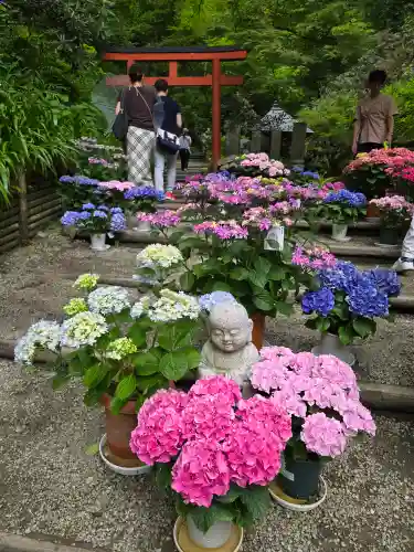 岡寺（龍蓋寺）(奈良県)