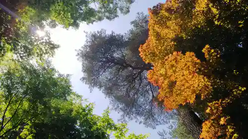 平林寺の自然