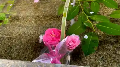 吉野神宮(奈良県)