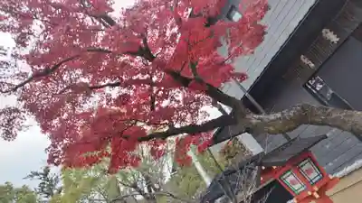 安井金比羅宮(京都府)