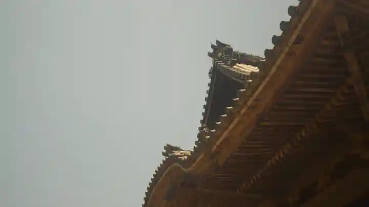 岡寺(龍蓋寺)(奈良県)