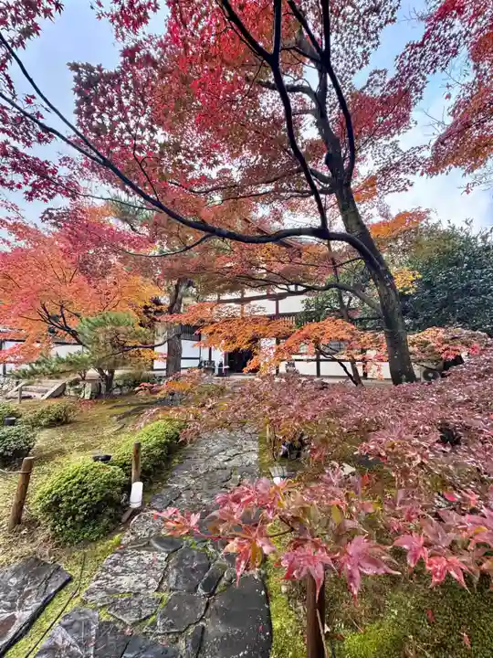 鹿王院(京都府)