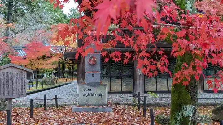 真正極楽寺(真如堂)(京都府)