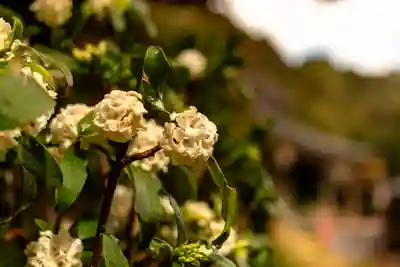 都農神社(宮崎県)