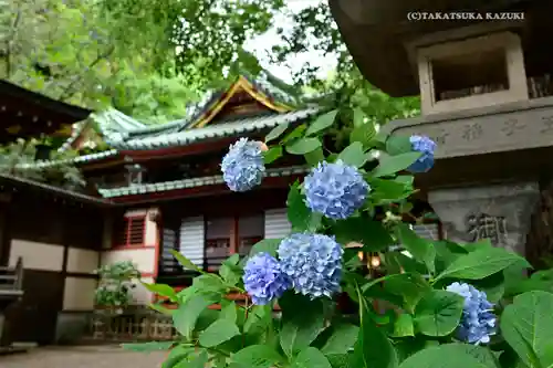 王子稲荷神社の自然