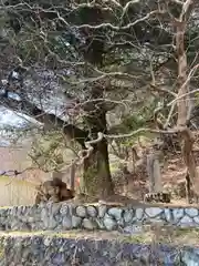 小宅神社の周辺