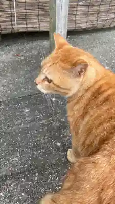 葛木二上神社(奈良県)