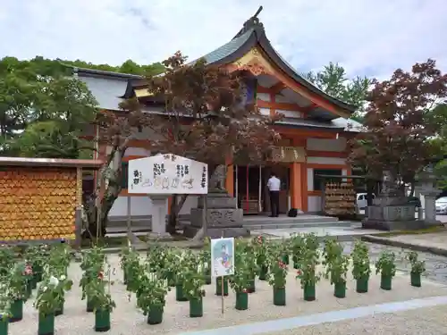 紅葉八幡宮の本殿