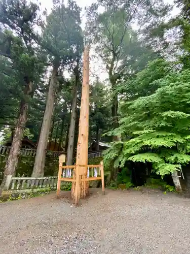 諏訪大社の自然