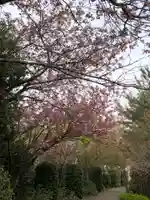 大生郷天満宮の自然