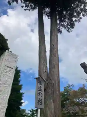 白鷺神社(栃木県)