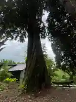 戸隠神社火之御子社(長野県)