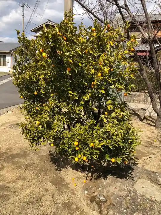天村雲神社の自然