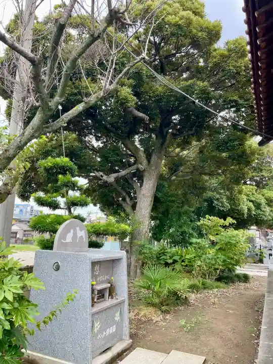 満福寺(埼玉県)