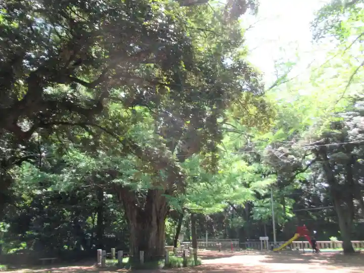 赤坂氷川神社(東京都)