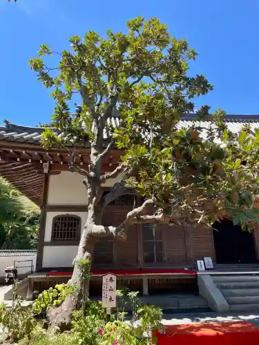 佛日庵(神奈川県)