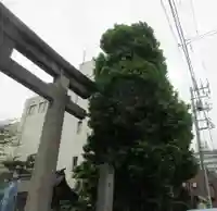 猿江神社のその他建物