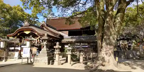 藤森神社(京都府)