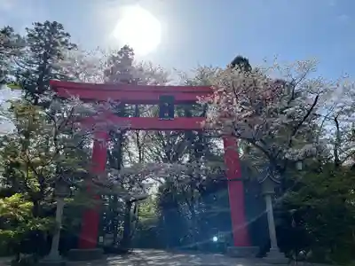 冠稲荷神社(群馬県)