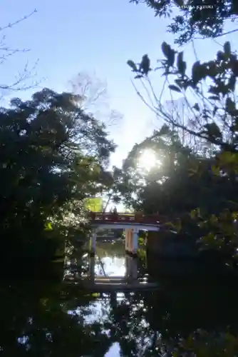 武蔵一宮氷川神社(埼玉県)