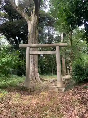 八幡神社の鳥居
