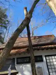 新屋山神社の末社