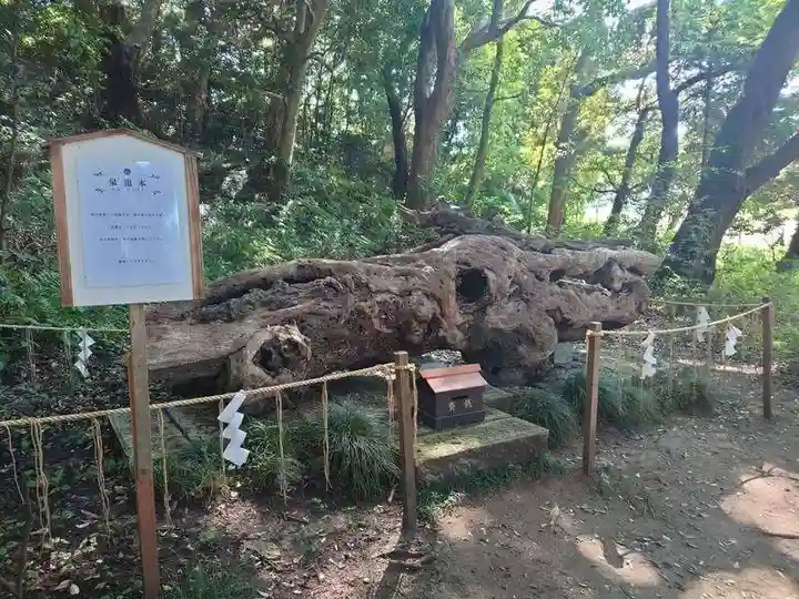 泉神社(茨城県)