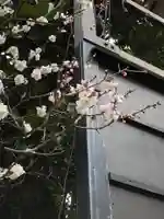 品川貴船神社の自然