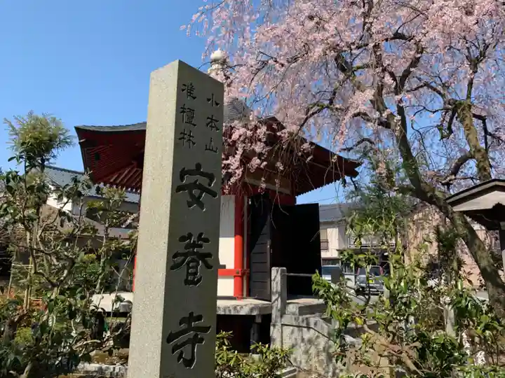 安養寺のその他建物