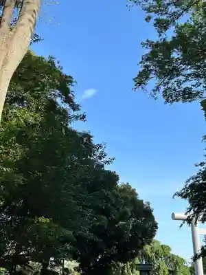 櫻木神社(千葉県)