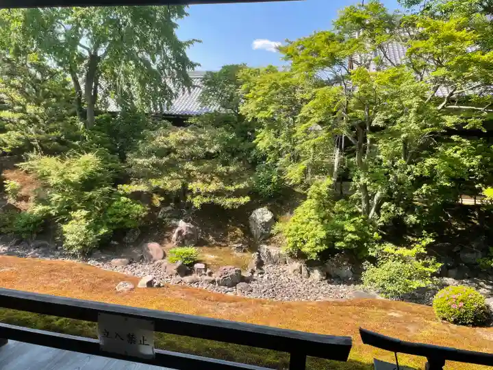 相国寺(相国承天禅寺)の庭園