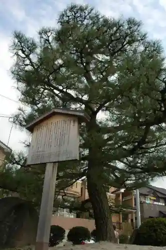 八大神社の自然