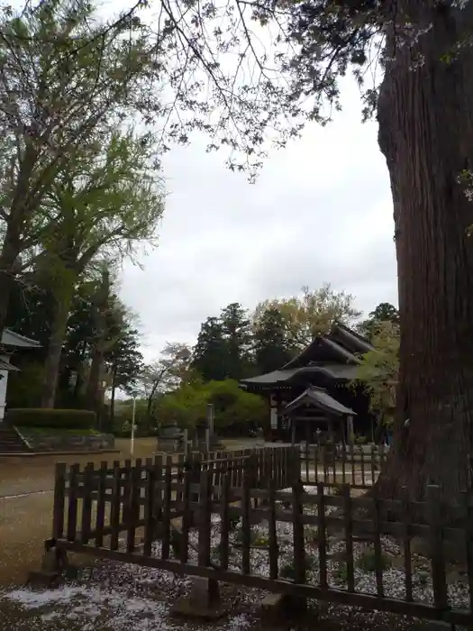 弘経寺の建物その他