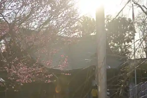 大國魂神社(東京都)