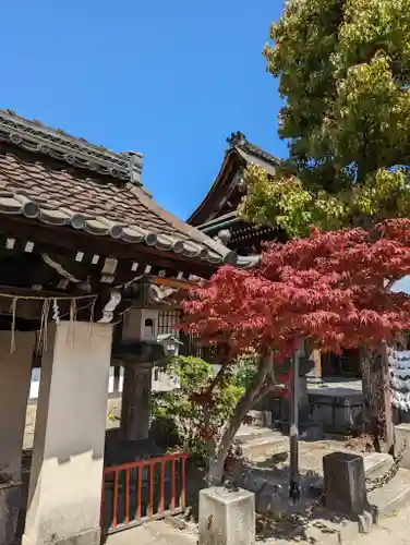 六孫王神社(京都府)