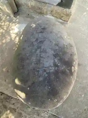 稲荷神社の{uncategorized: "未分類", other: "その他", undefined: "問題あり", building: "その他建物", grave: "お墓", sacred_gate: "鳥居", guardian: "狛犬", statue: "像", buddha: "仏像", history: "歴史", nature: "自然", garden: "庭園", animal: "動物", pagoda: "塔", temizu: "手水舎", mountain_gate: "山門・神門", sanctuary: "本殿・本堂", subordinate: "末社・摂社", art: "芸術", scenery: "景色", jizo: "地蔵", ema: "絵馬", goshuin: "御朱印", omikuji: "おみくじ", items: "授与品その他", amulet: "お守り", goshuincho: "御朱印帳", eats: "食事", festival: "お祭り", votive_dance: "神楽", shichigosan: "七五三参", wedding: "結婚式", experience: "体験その他", initially: "初詣", around: "周辺", anti_infection: "感染症対策"}