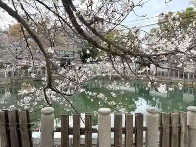 四天王寺(大阪府)