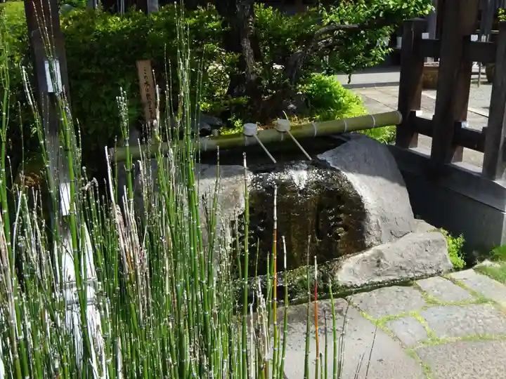 妙蓮寺の手水舎