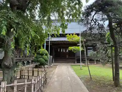 成顕寺(千葉県)