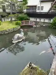 菅原天満宮（菅原神社）(奈良県)