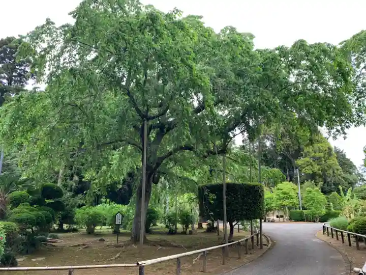 長光寺(千葉県)