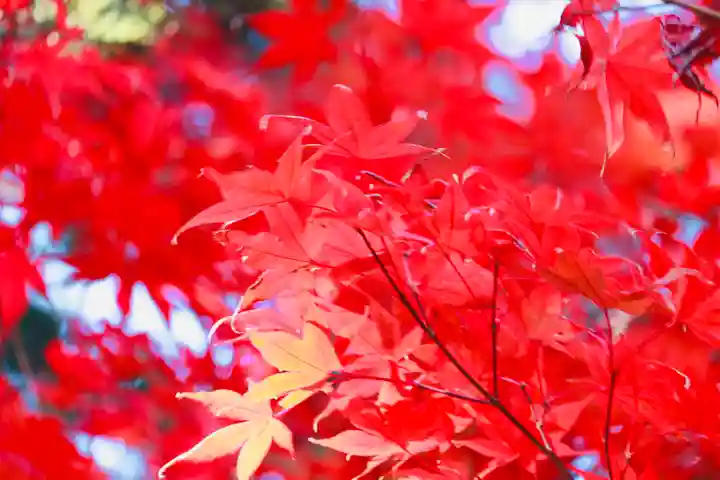 円覚寺(神奈川県)