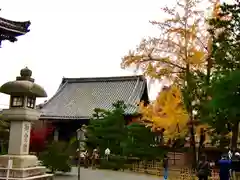 清涼寺(京都府)