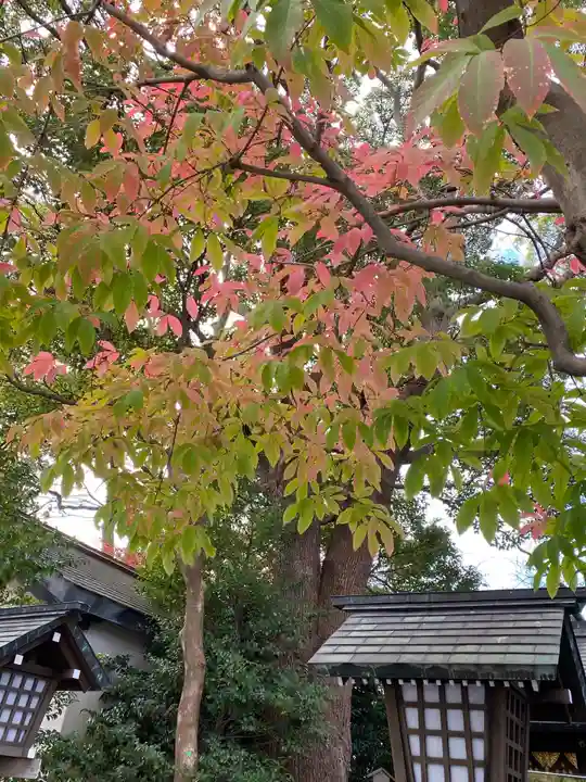 伊勢山皇大神宮の自然
