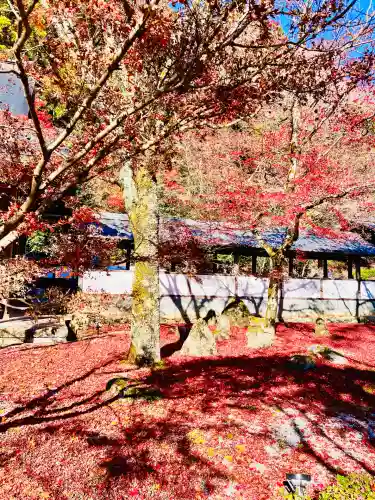 永源寺(滋賀県)