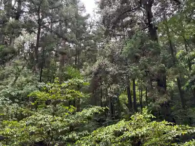 伊勢神宮内宮（皇大神宮）(三重県)