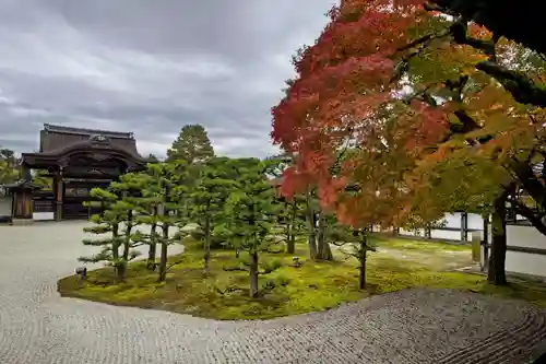 仁和寺の庭園