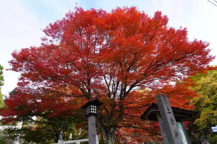 土津神社|こどもと出世の神さまの自然