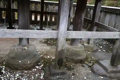 白兎神社(鳥取県)