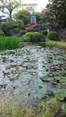 感通寺(東京都)